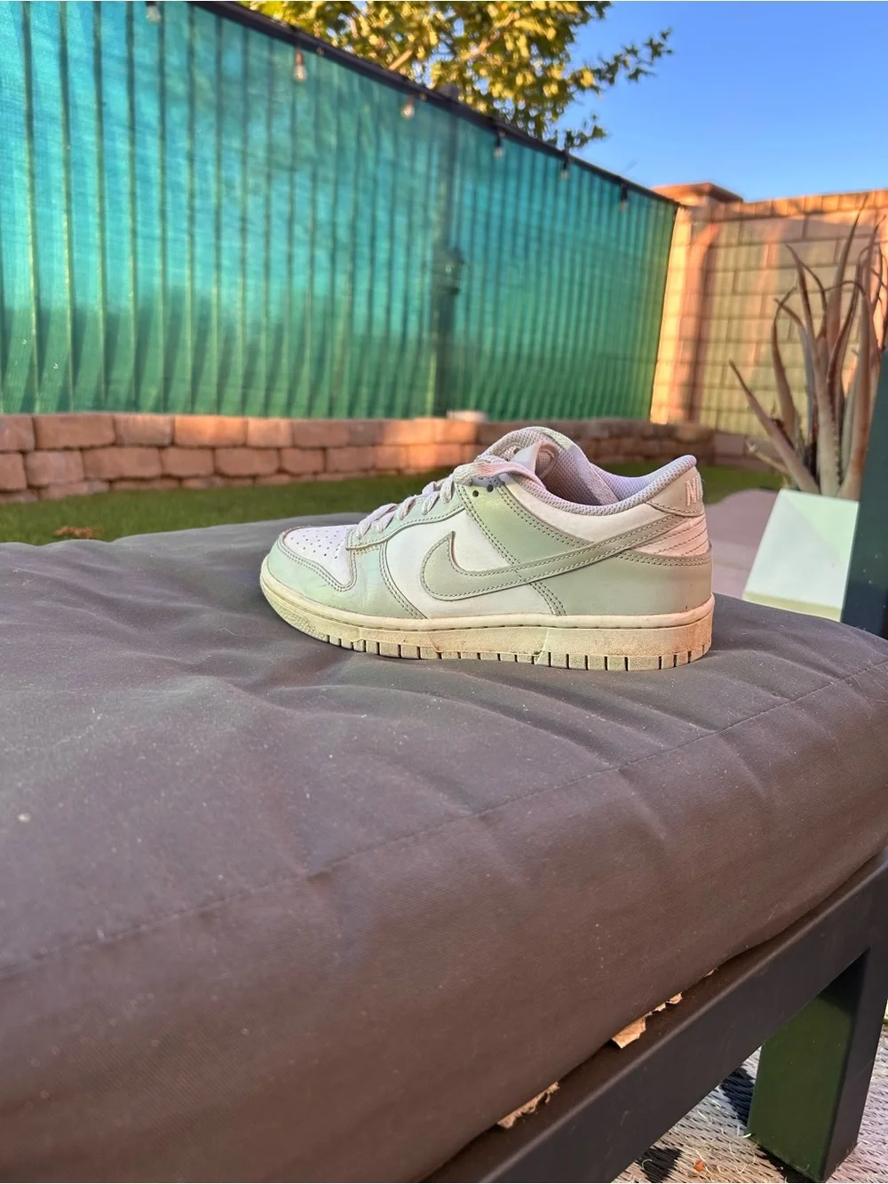 Nike Men’s Low-Top Sneakers in Sage Green and Cream